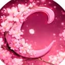 My Image
